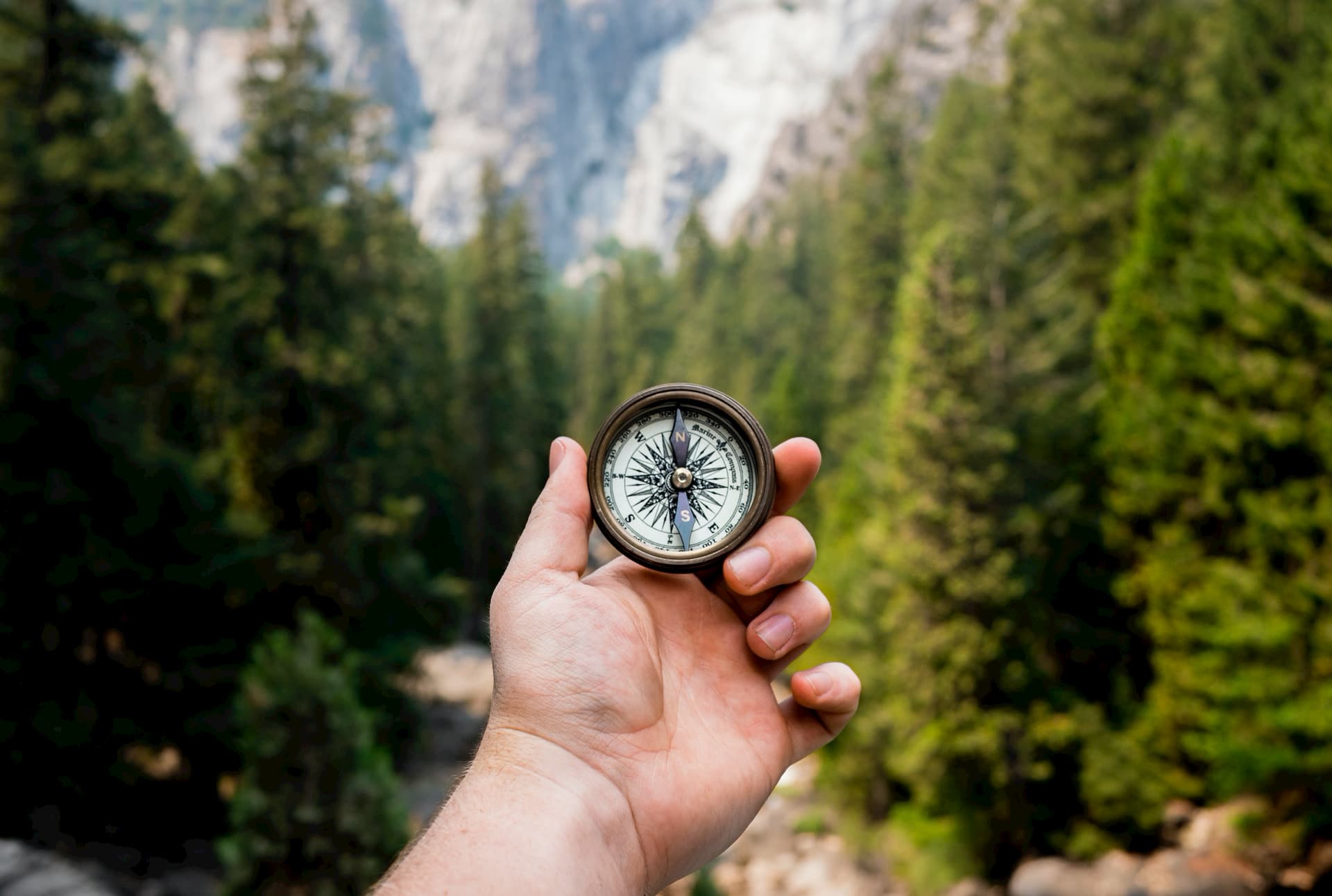 Comparison of Flutter and React Native